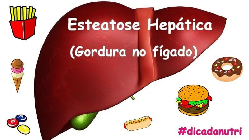 esteatose hepatica